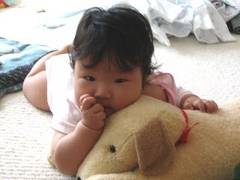 f:id:kuroshibawanko:20050708224848:image