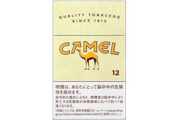 キャメル・ボックス - 生きる意味を見つける日記