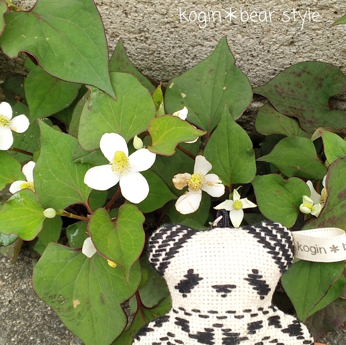 最近あったいいこと こぎん刺しのテディベア作家 Kogin Bear Style こひろ