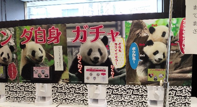 パンダ自身フェス（3/1-3/7 松坂屋上野店）に行ってみた
