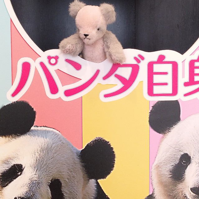 パンダ自身フェス（3/1-3/7 松坂屋上野店）に行ってみた - こぎん刺し