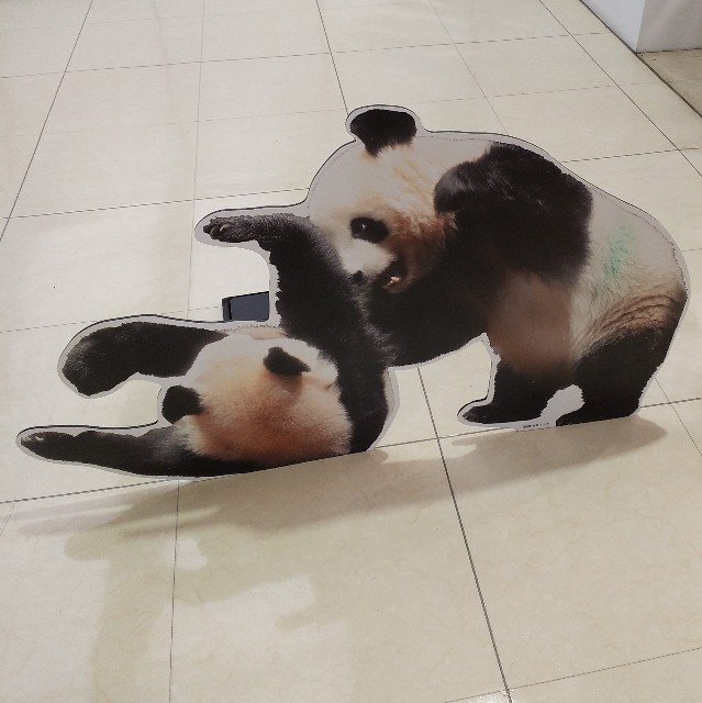 f:id:kurosuke3796:20251024074207j:image f:id:kurosuke3796:20251024074207j:image