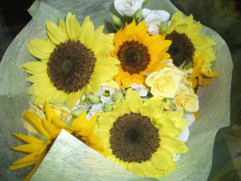 f:id:kurotam:20070706234816g:image f:id:kurotam:20070706234816g:image