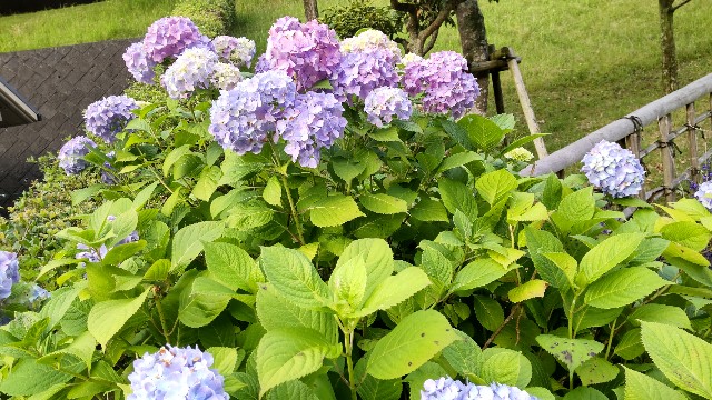 f:id:kurotantankun:20220623231354j:image
