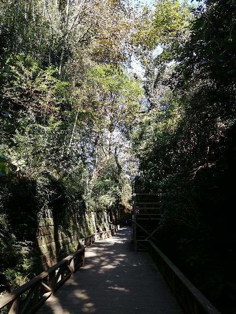f:id:kurozaemon:20191118220733j:image