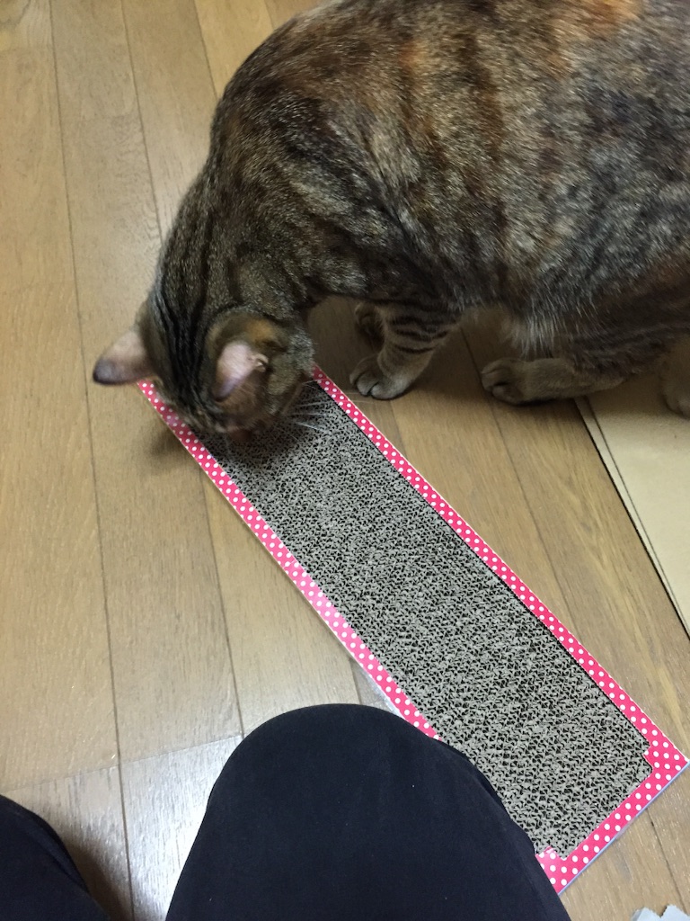 f:id:kurozi96:20161019203354j:image f:id:kurozi96:20161019203354j:image