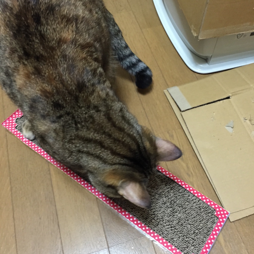 f:id:kurozi96:20161019203439j:image f:id:kurozi96:20161019203439j:image