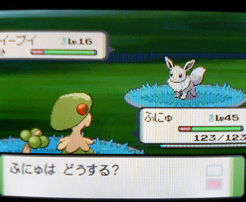 ポケットモンスター パール かべはりつき