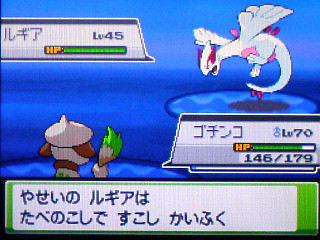 ポケットモンスター ソウルシルバー 図鑑完成 色違い485種類以上