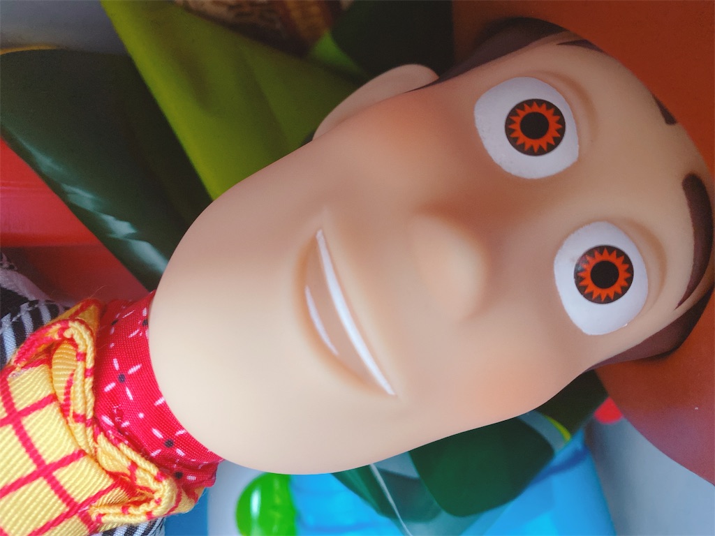 f:id:kurukuruu13:20191106125346j:image f:id:kurukuruu13:20191106125346j:image