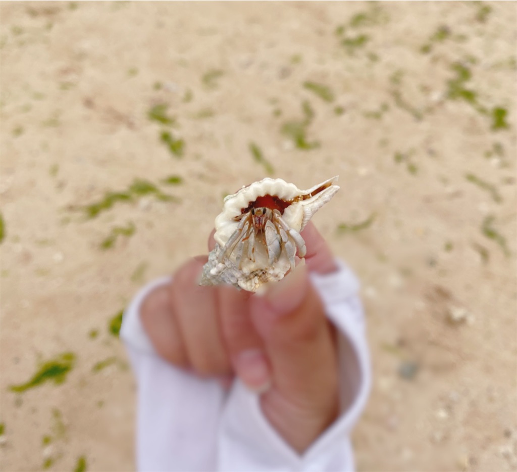 f:id:kurukuruu13:20191122123405j:image f:id:kurukuruu13:20191122123405j:image
