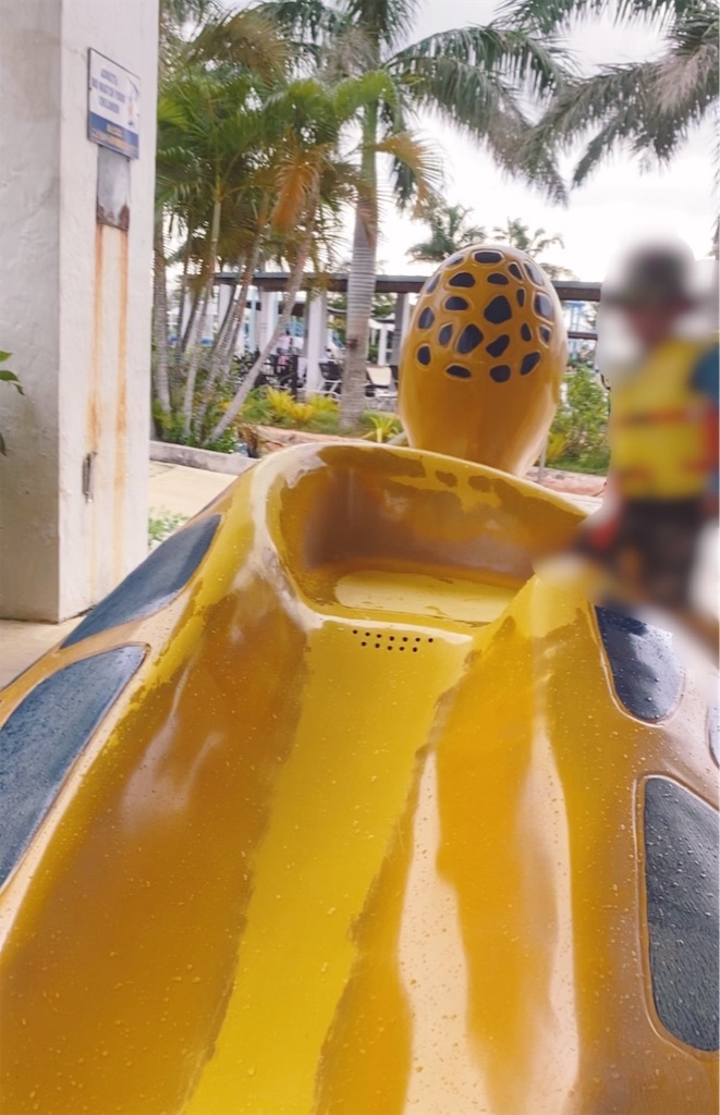f:id:kurukuruu13:20191122124827j:image f:id:kurukuruu13:20191122124827j:image