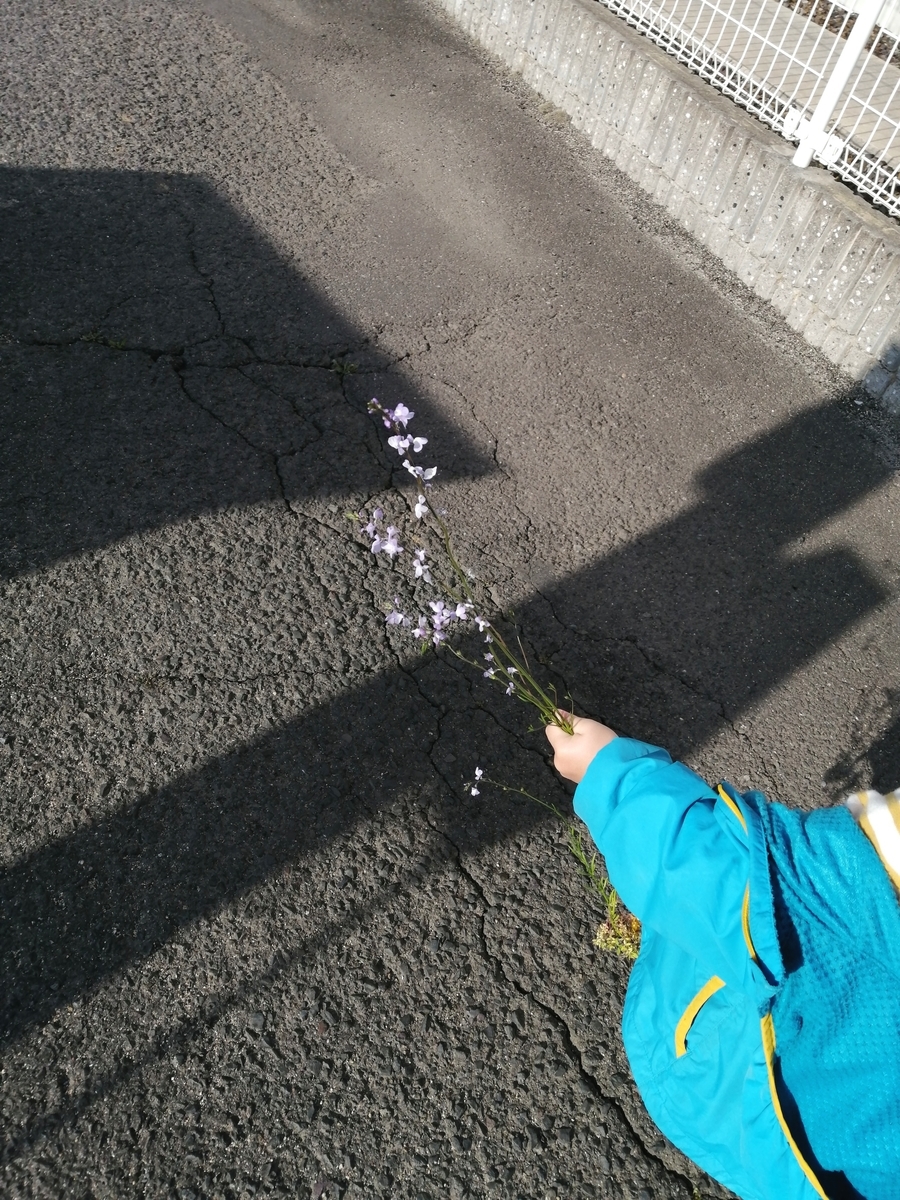 f:id:kurulm1206:20200422213840j:plain f:id:kurulm1206:20200422213840j:plain