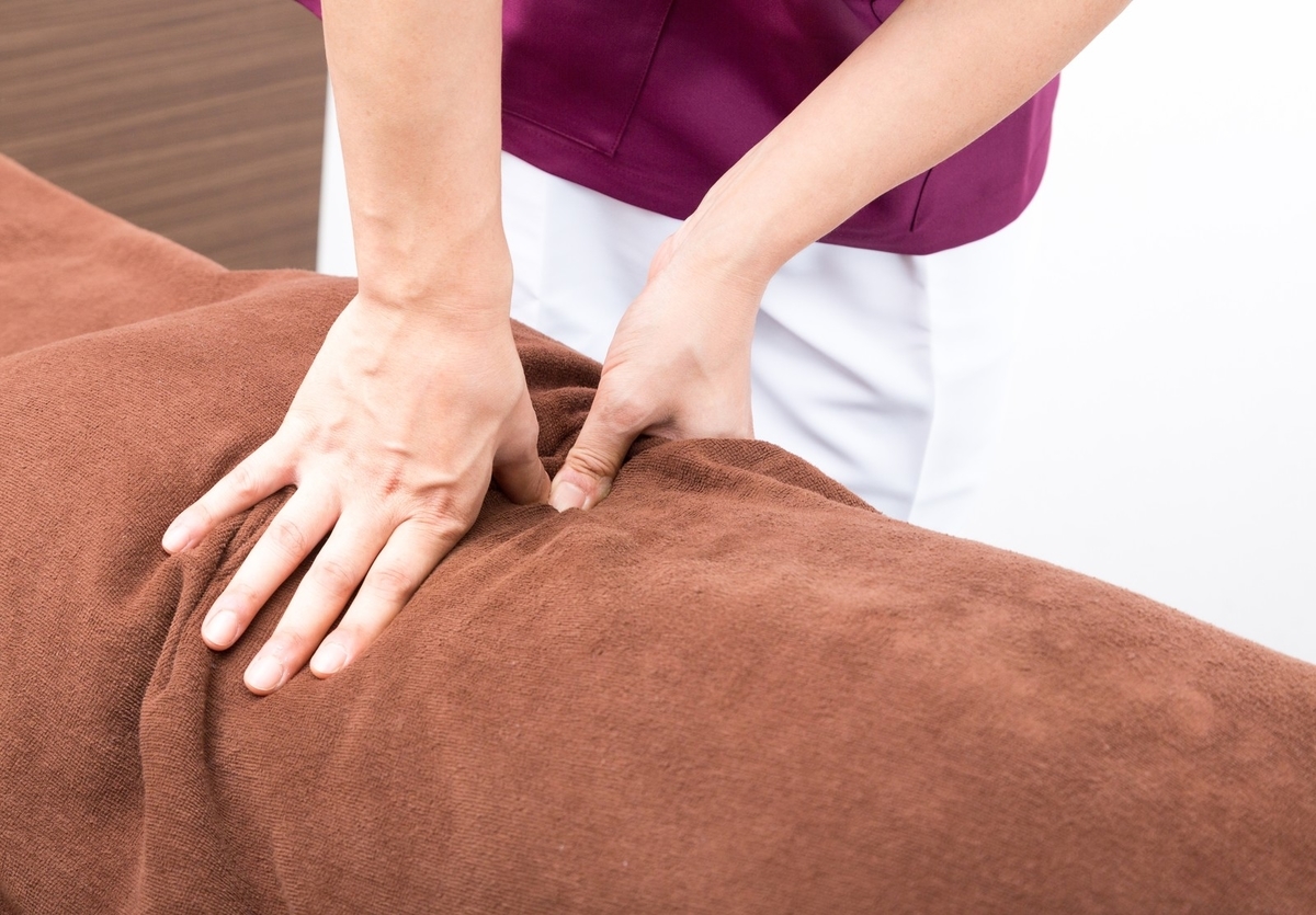 f:id:kurumaebi-papa:20190518213334j:plain f:id:kurumaebi-papa:20190518213334j:plain