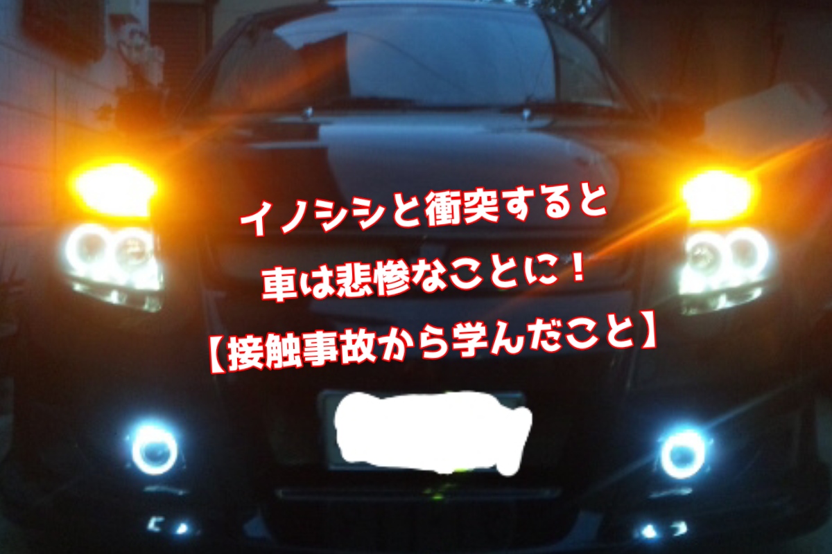 イノシシと衝突すると車は悲惨なことに 接触事故から学んだこと くるまえびパパの遊泳記