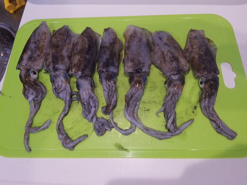 f:id:kurumaebi-papa:20190810231420j:plain