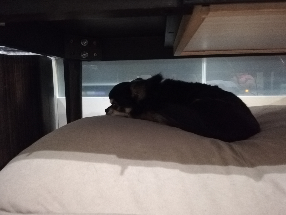 f:id:kurumatake03:20190713152320j:plain f:id:kurumatake03:20190713152320j:plain