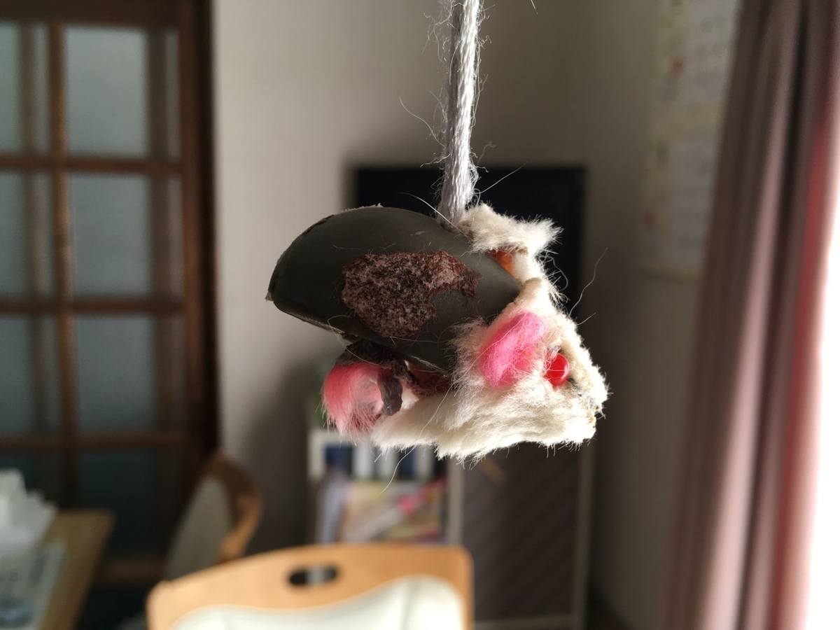 f:id:kurumi2016:20210316132837j:plain