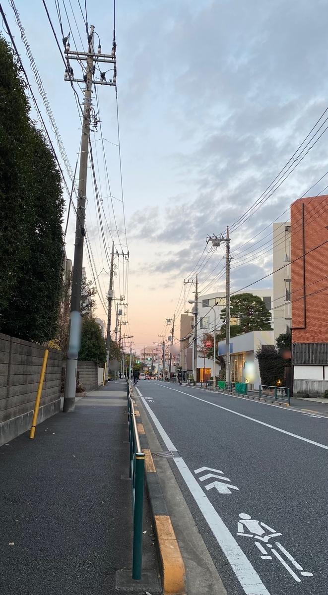 f:id:kurumi_hanekawa:20211205181740j:plain