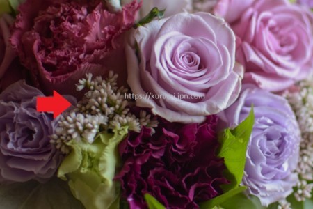 f:id:kurumig:20180517171731j:image f:id:kurumig:20180517171731j:image