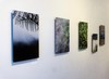 DSC01287.JPG