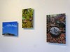DSC01295.JPG