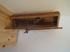 DSC01755.JPG