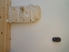 DSC01767.JPG