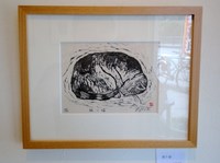 DSC02487.JPG