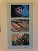 DSC02520 - コピー.JPG