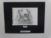 DSC02534 - コピー.JPG