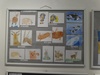 DSC02577 - コピー.JPG
