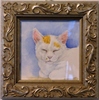 DSC04005.JPG
