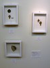 PC040106.JPG