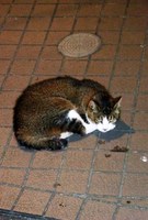 RIMG0148.JPG