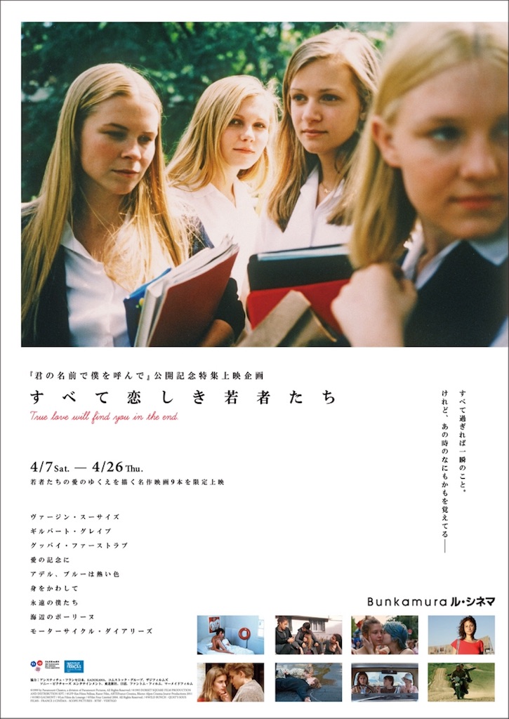 熱い恋ーすべて恋しき若者たち ブリジットダイアリー
