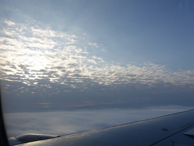 f:id:kurumikko:20200125105518j:image