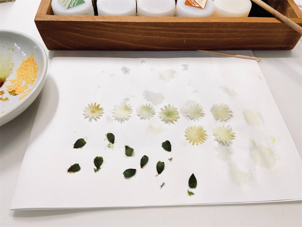 f:id:kuruminokoniwa:20210518151626j:image