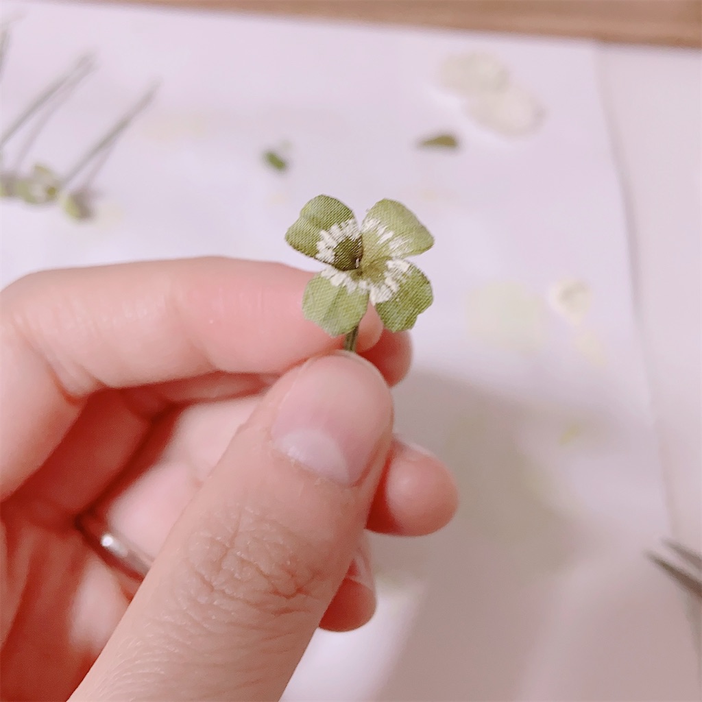 f:id:kuruminokoniwa:20220708141126j:image