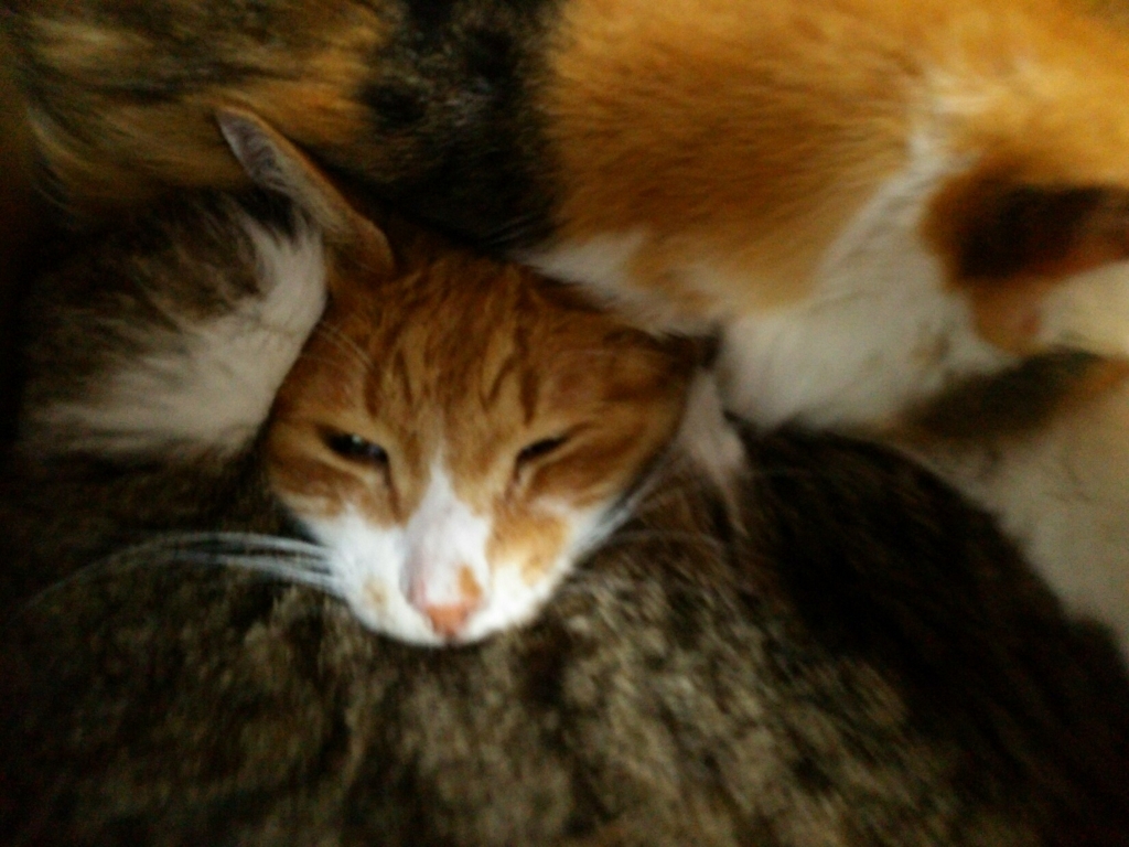 20180303205802