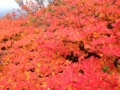 f:id:kurun-kurun-cycle:20140925132512j:image:medium