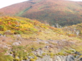 f:id:kurun-kurun-cycle:20140925132520j:image:medium