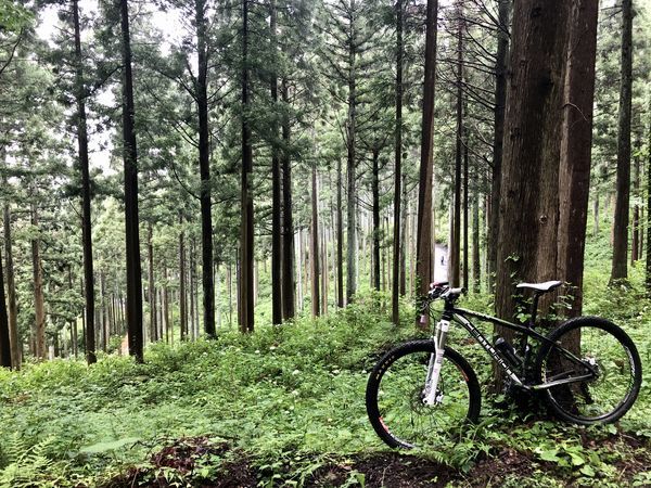 f:id:kurun-kurun-cycle:20200627120955j:plain