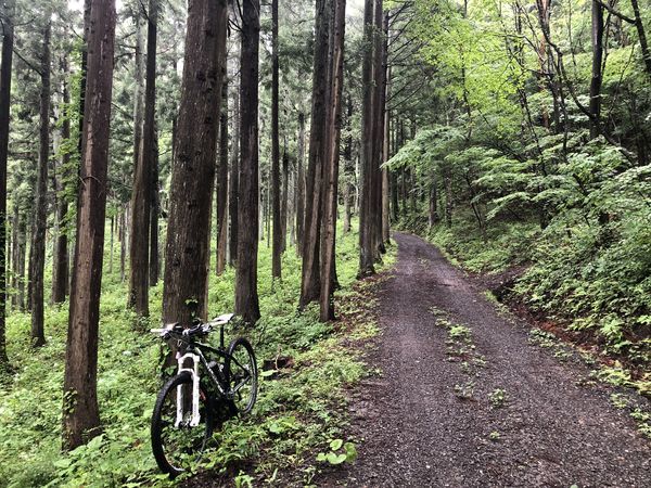 f:id:kurun-kurun-cycle:20200627121008j:plain