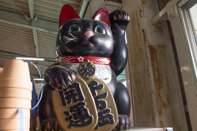 f:id:kurunokini:20190815135006j:plain