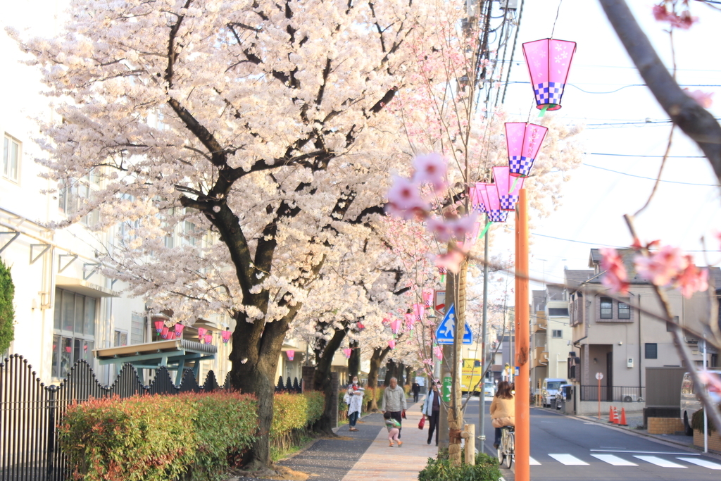 f:id:kururi05:20180915233112j:plain