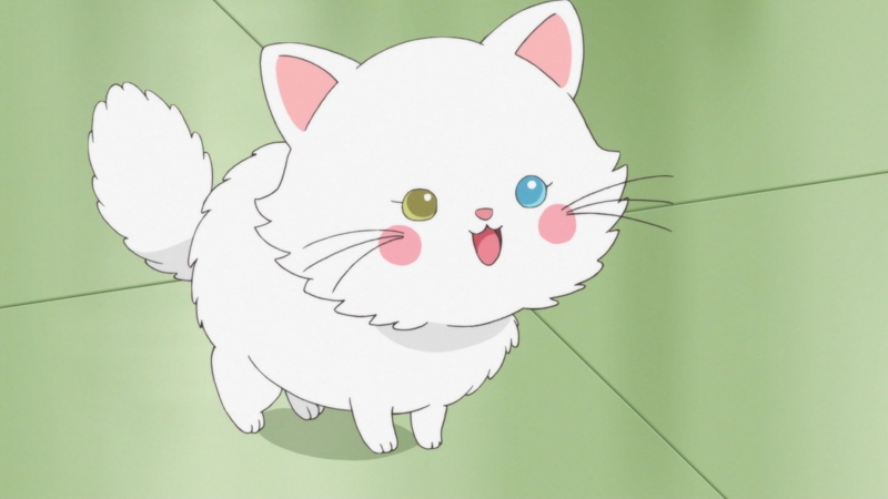 f:id:kurutto115:20170527161744j:image:w520 f:id:kurutto115:20170527161744j:image:w520