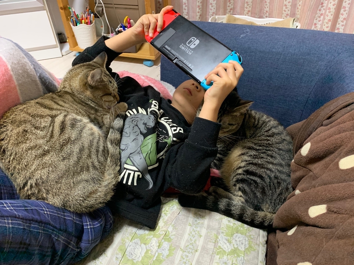 f:id:kus0303:20191202140032j:plain