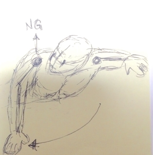 イメージ 1