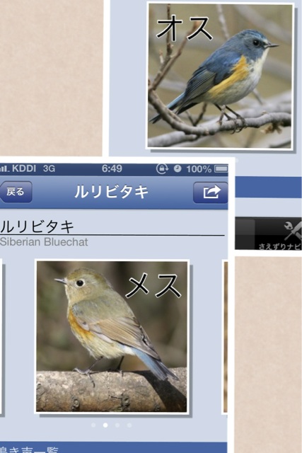 イメージ 1